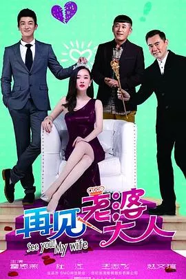 再见，老婆大人海报
