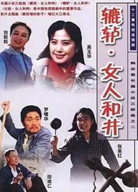 辘轳女人和井海报