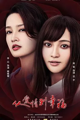 从爱情到幸福[电影解说]海报