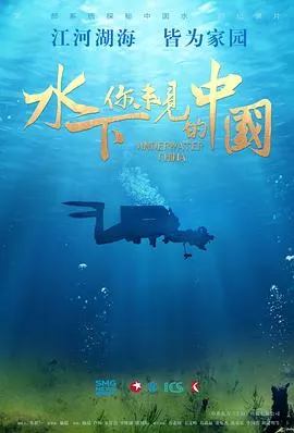 水下你未见的中国海报