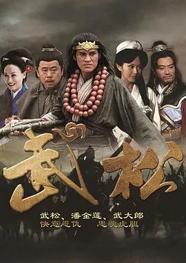 武松2013[电影解说]海报