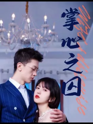 掌心之囚&腹黑总裁的金丝雀海报