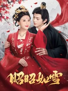 昭昭如雪海报