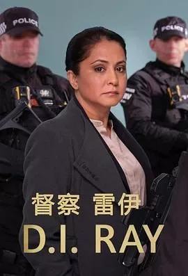督察雷伊第二季海报
