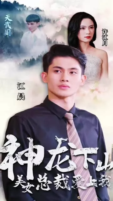 神龙下山，美女总裁爱上我海报