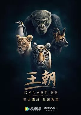 王朝第一季 英文版海报