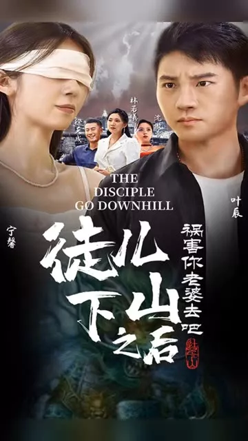 徒儿下山之后，祸害你老婆去吧海报