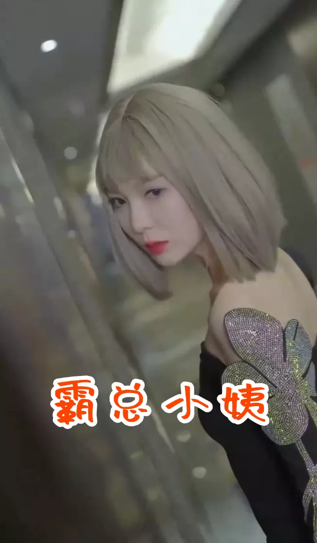 霸总小姨海报