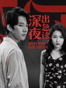 深夜出急诊碰到小奶狗陪妻子做手术海报