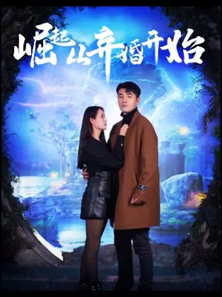 崛起从弃婚开始海报