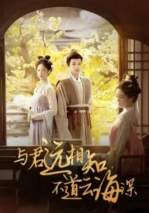 与君远相知，不道云海深海报