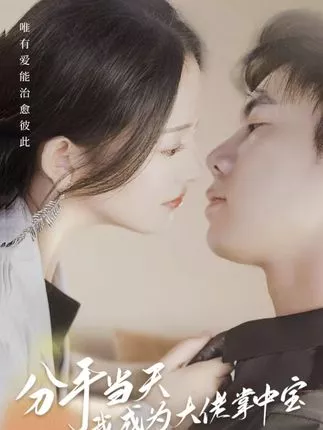 分手当天我成为大佬掌中宝海报
