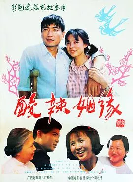 酸辣姻缘1985[电影解说]海报