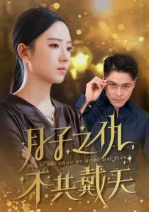 月子之仇不共戴天海报