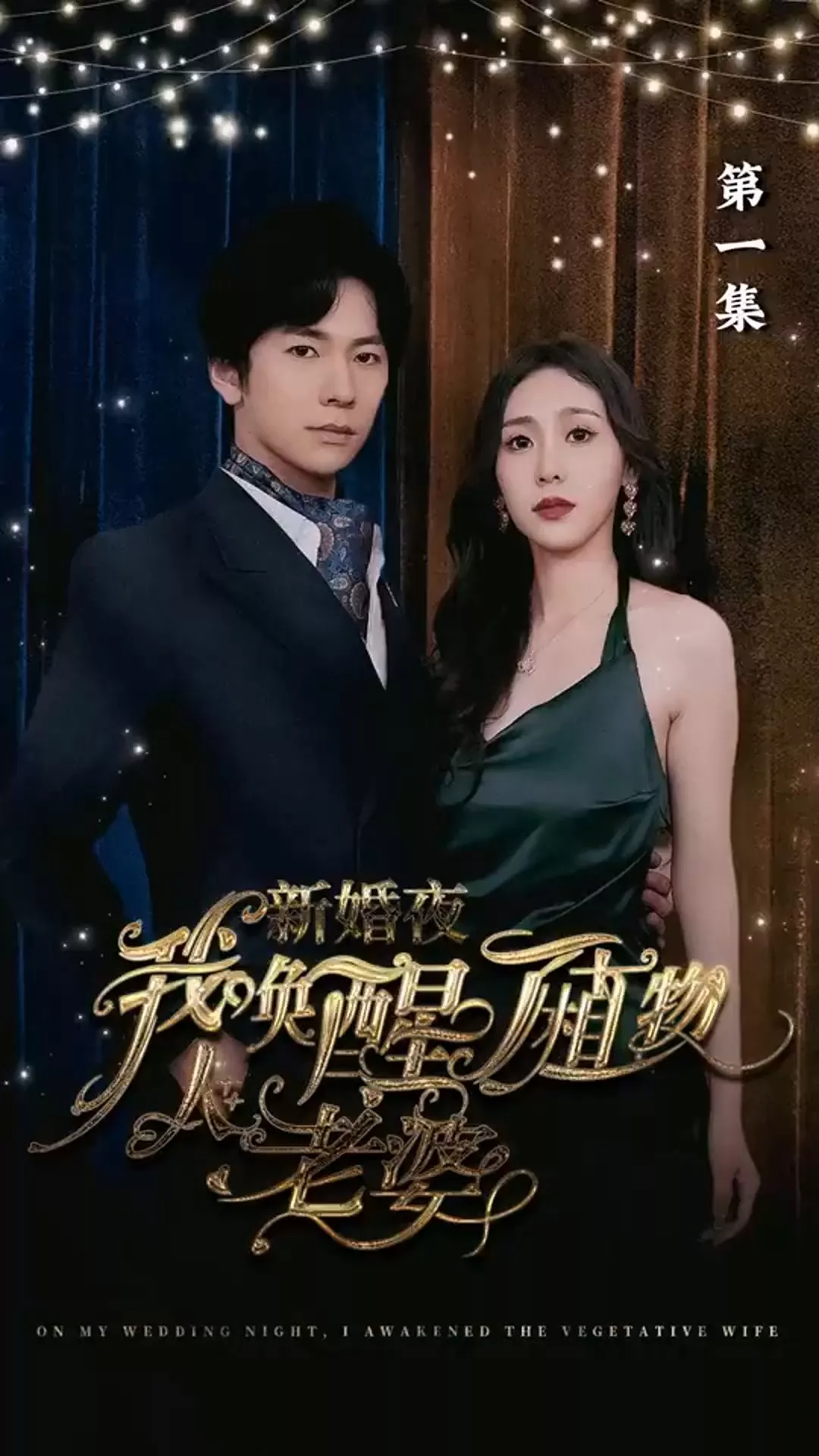 新婚夜，我唤醒了植物人老婆海报