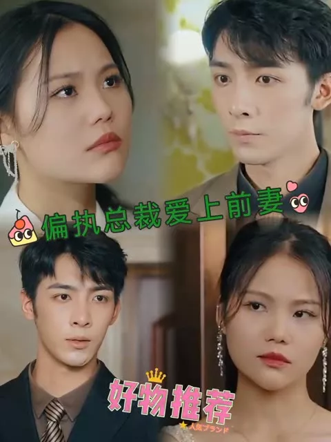 偏执总裁爱上前妻海报