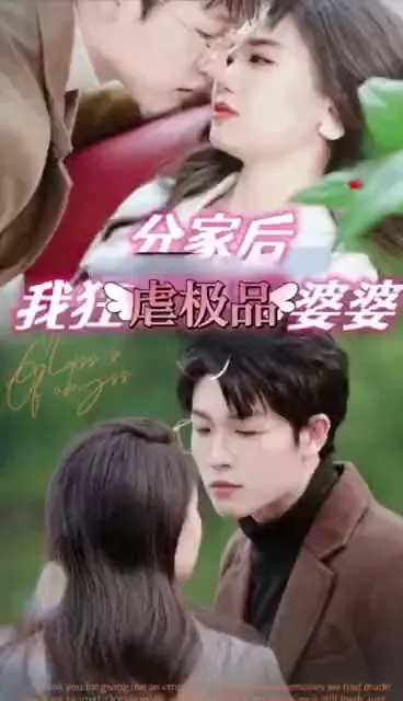 分家后我狂虐极品婆婆海报