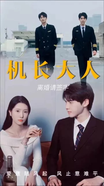 机长大人，离婚请签字海报