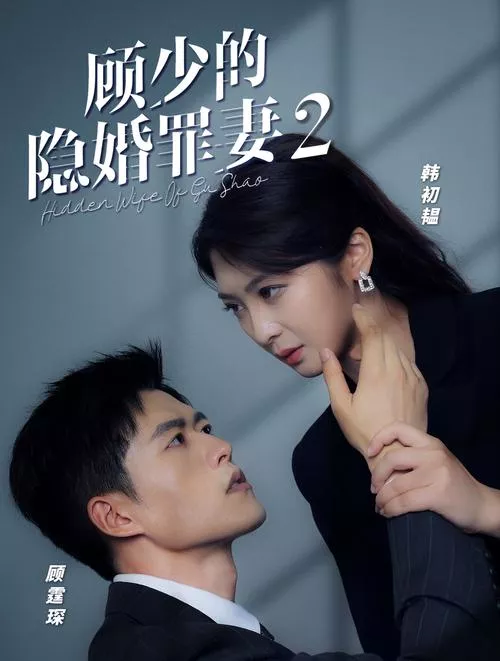 顾少的隐婚罪妻2海报