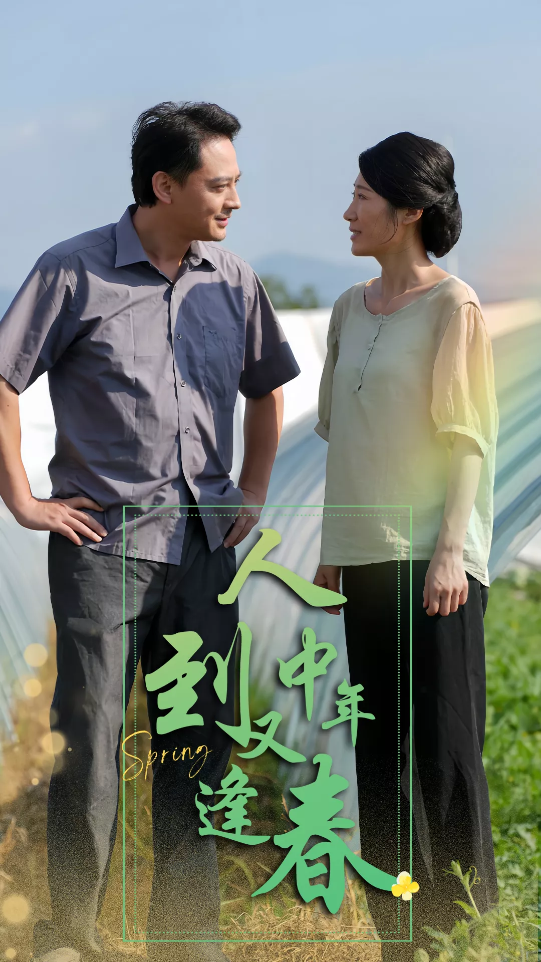 人到中年又逢春海报