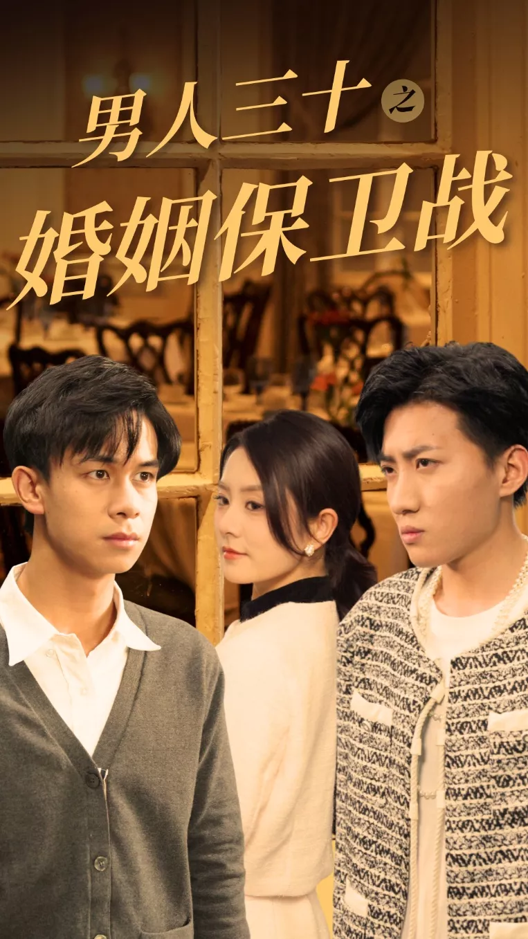 男人三十之婚姻保卫战海报