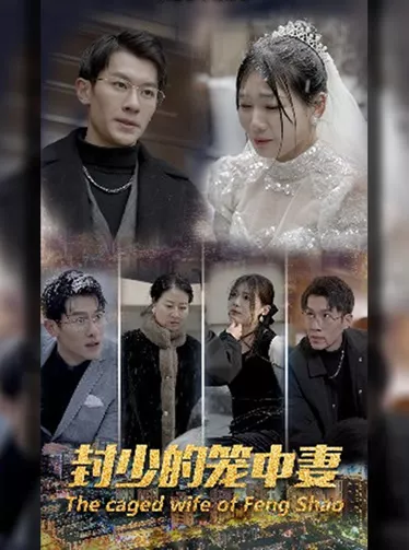 封少的笼中妻海报