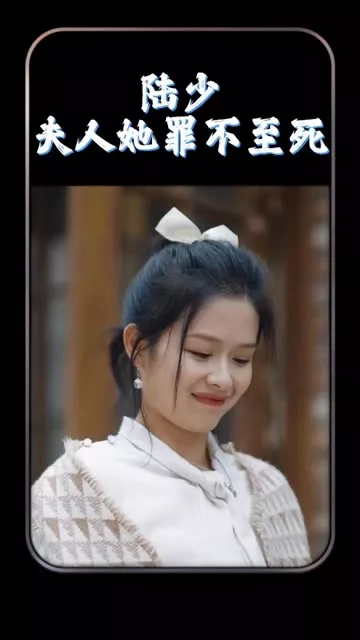 陆总夫人她罪不至死海报