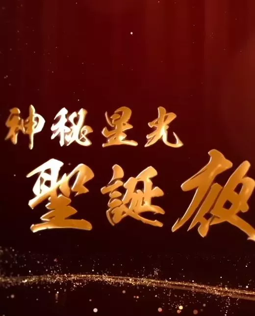 神秘星光圣诞夜粤语海报