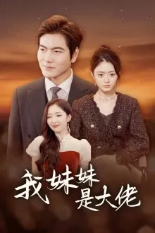 我的妹妹是大佬海报
