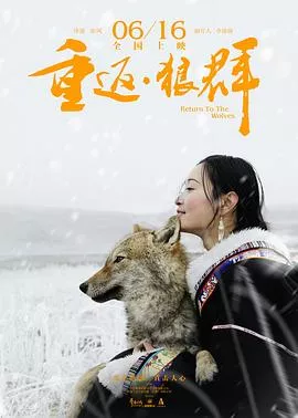 重返狼群[电影解说]海报