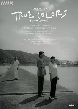 本色海报