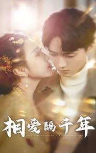 相爱隔千年海报