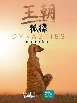 王朝：狐獴特辑海报