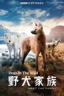 野犬家族海报