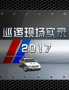 巡逻现场实录2017海报