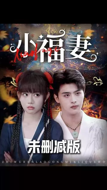 小福妻海报