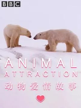 动物爱情故事海报