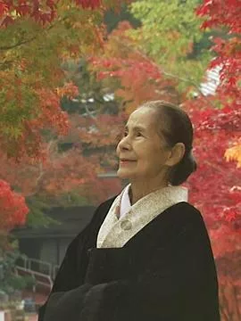 茶道之旅海报