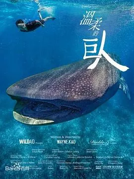 温柔的巨人海报