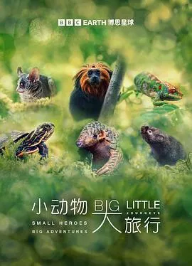 小动物大旅行第一季海报
