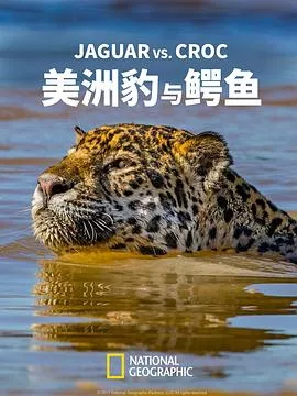 美洲豹与鳄鱼海报