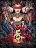 展昭探案海报