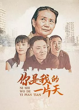 儿子2008[电影解说]海报