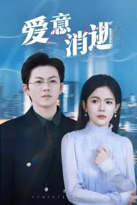 爱意消逝海报
