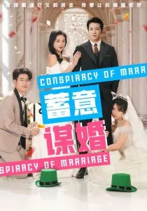 蓄意谋婚海报