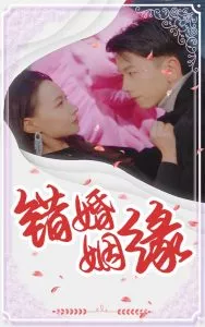 错嫁姻缘海报