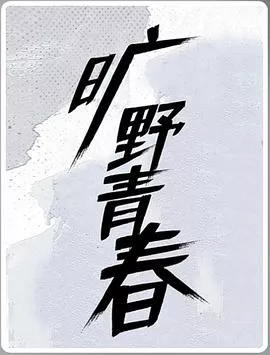旷野青春海报