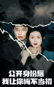 公开身份后我让你悔不当初海报