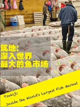 筑地深入世界上最大的鱼市场海报