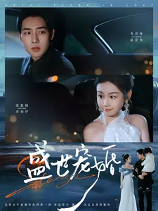 盛世宠婚海报
